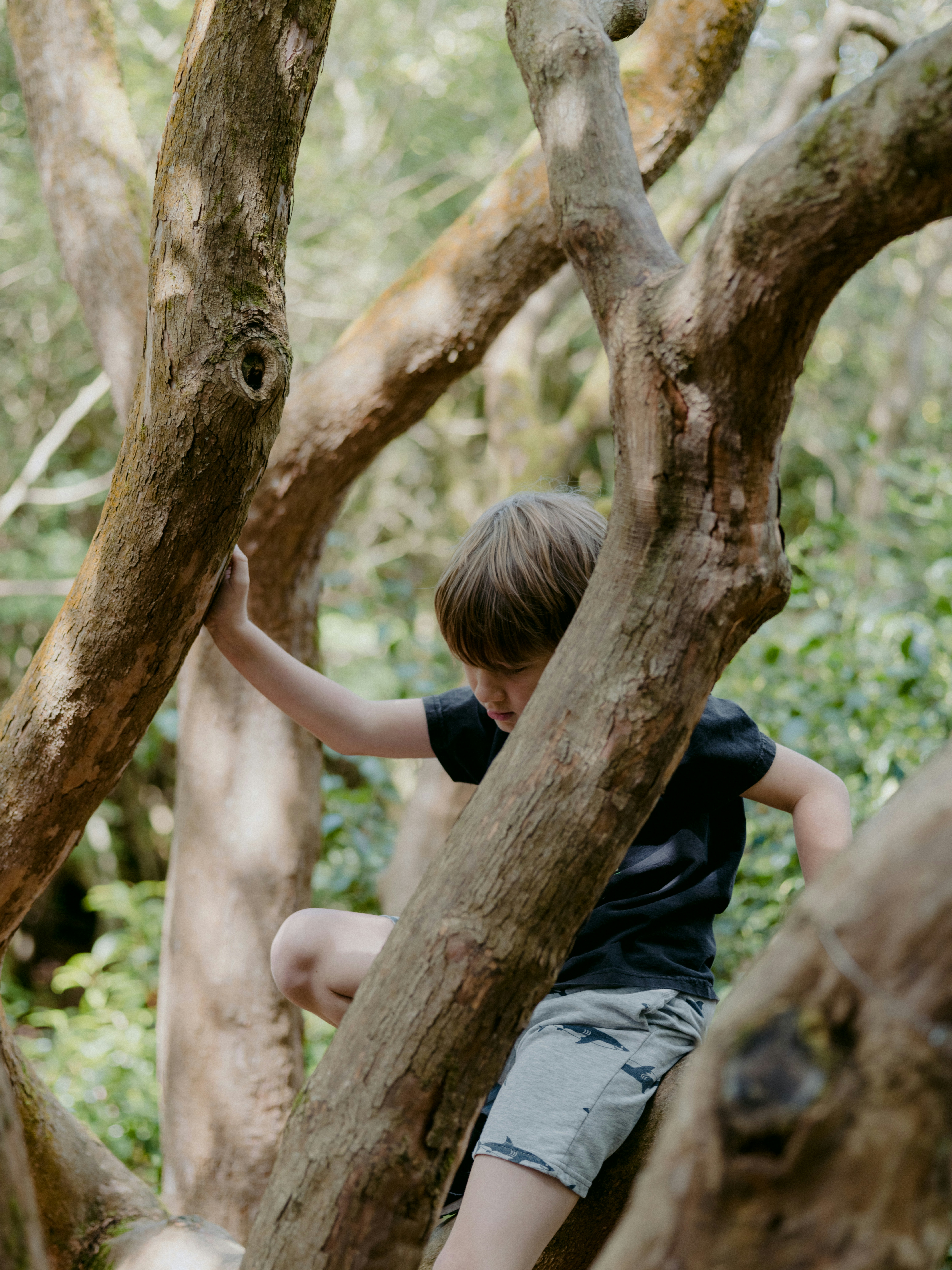 annie-spratt-8gk0OlaHWsQ-unsplash