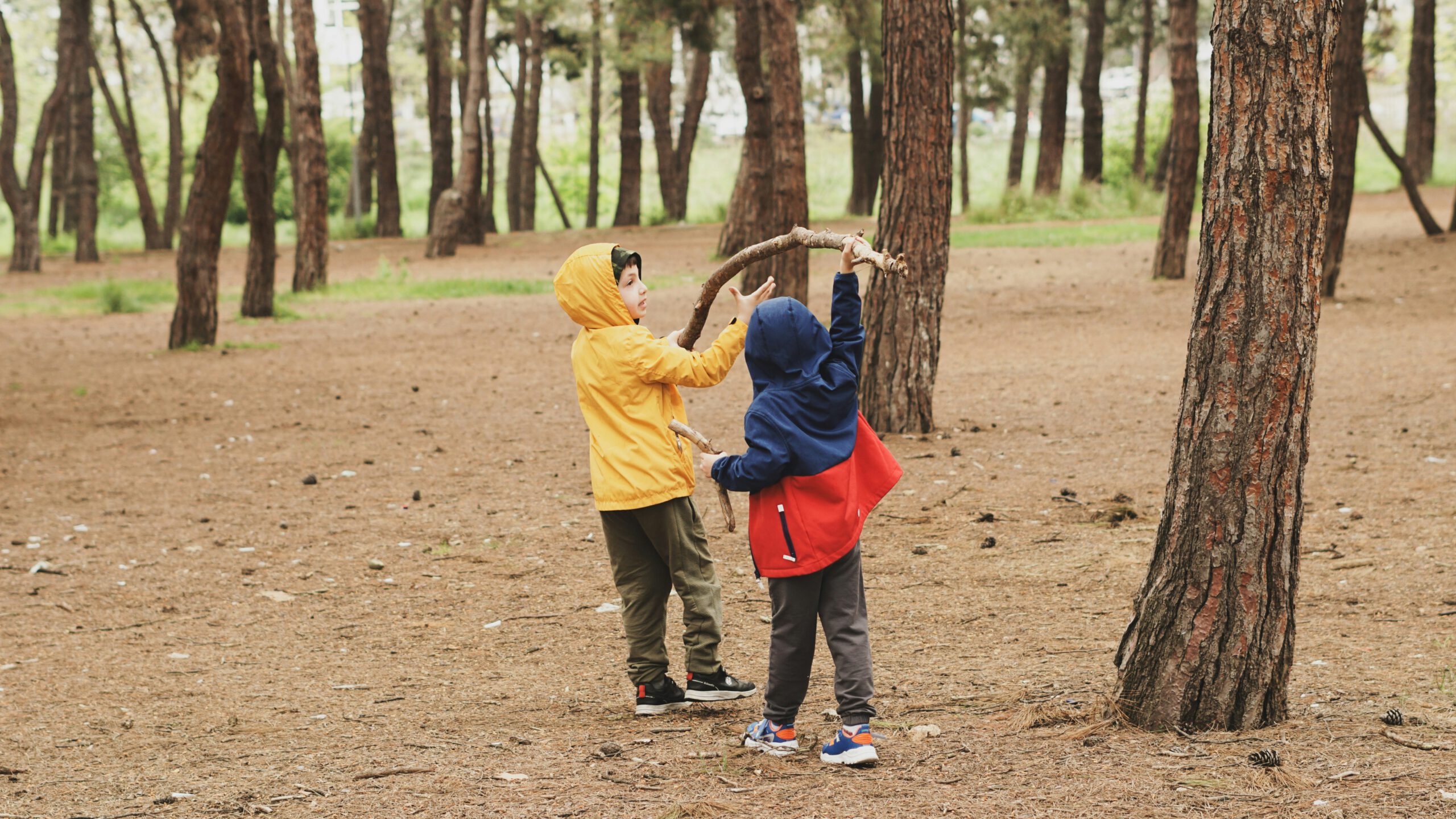 duygu-gungor-u_l75LNuaHc-unsplash
