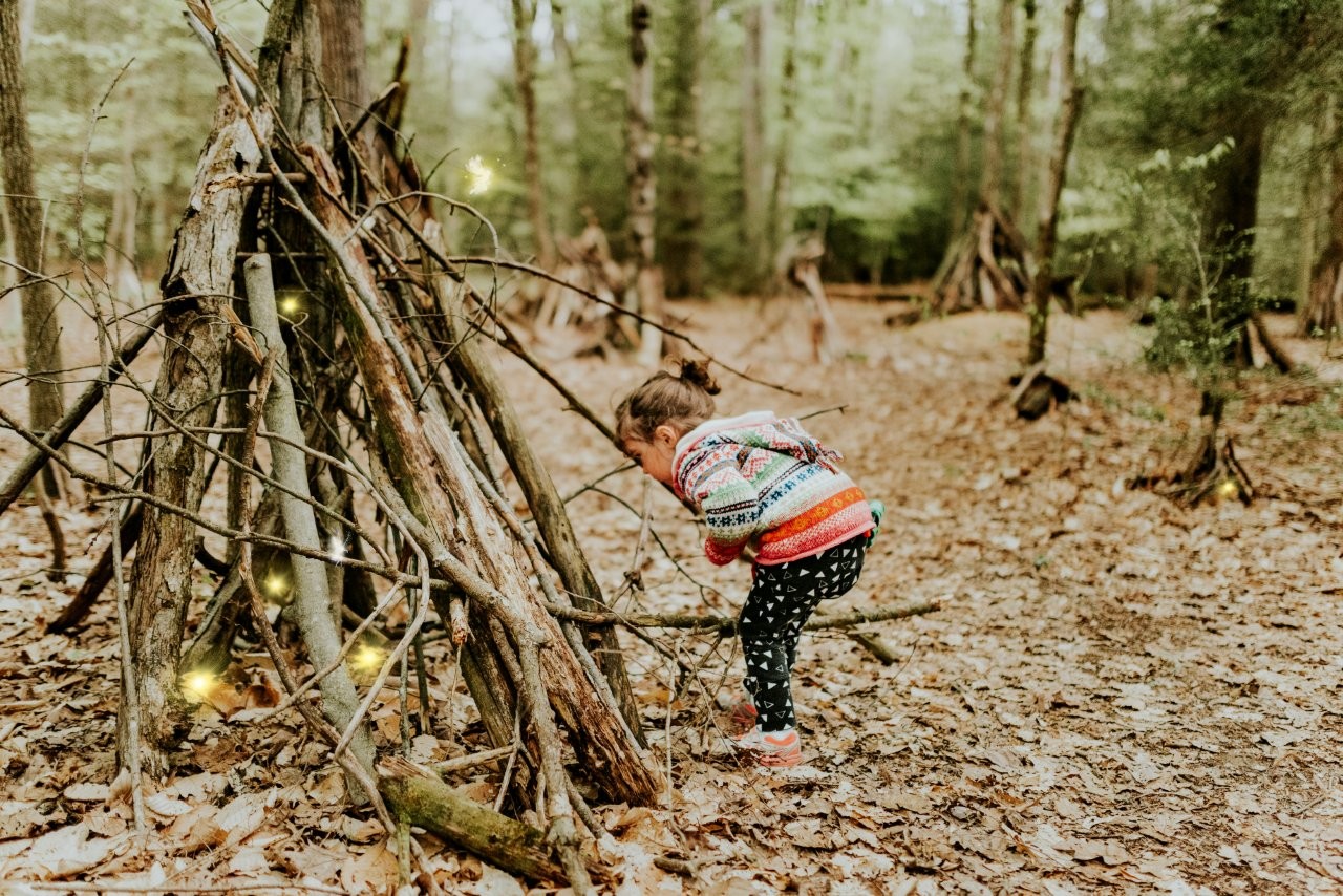 sandra-seitamaa-jidZAKNXBek-unsplash